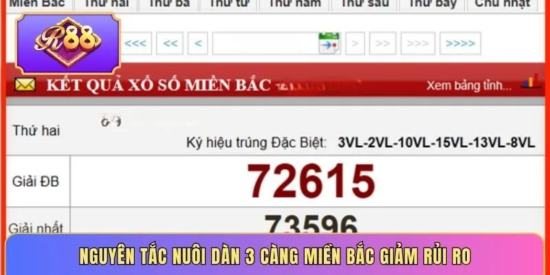 Nguyên tắc nuôi dàn 3 càng miền bắc giảm rủi ro