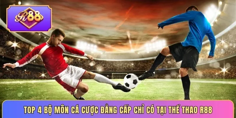 Top 4 bộ môn cá cược đẳng cấp chỉ có tại thể thao R88